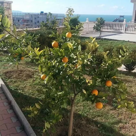 アパートホテル Dei Limoni *