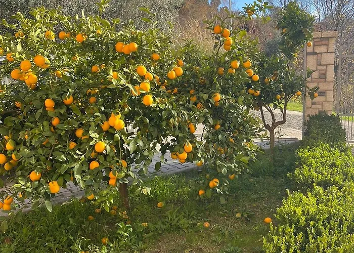 Dei Limoni Škalngur