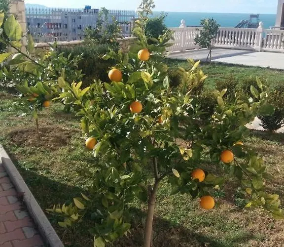 Appart hôtel Dei Limoni *