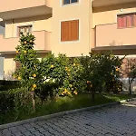 Dei Limoni * Škalngur