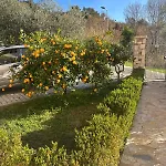 Apart Otel Dei Limoni
