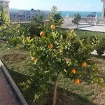 Apart Otel Dei Limoni *