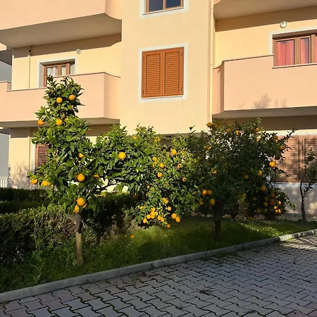 Dei Limoni 3* Škalngur