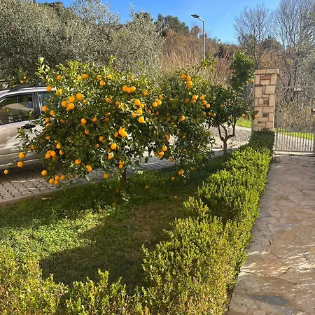 아파트호텔 Dei Limoni