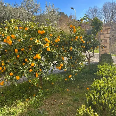 Dei Limoni Škalngur