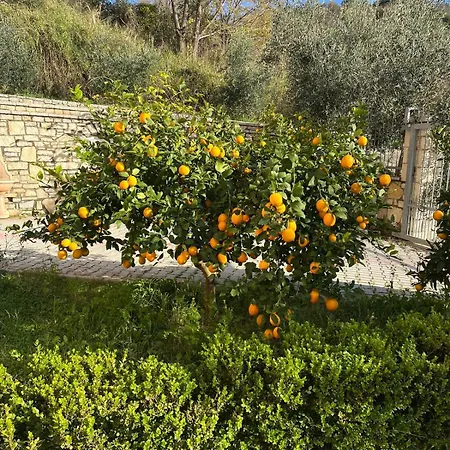 Dei Limoni *