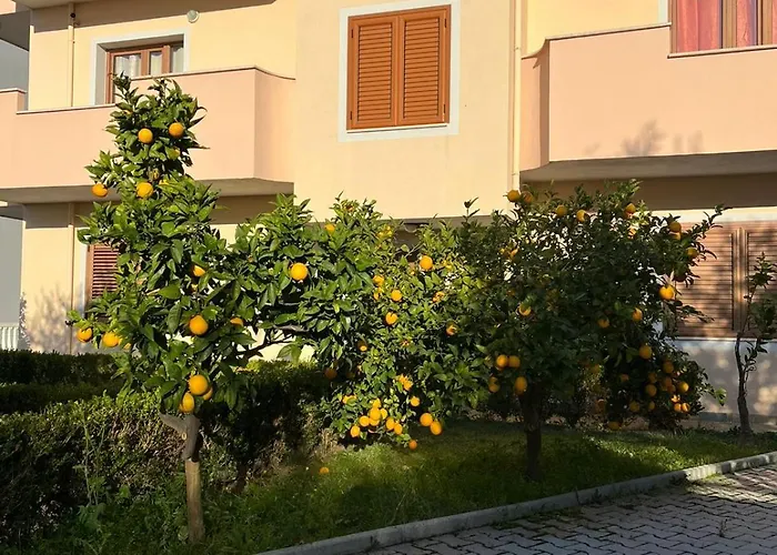 Dei Limoni * Škalngur