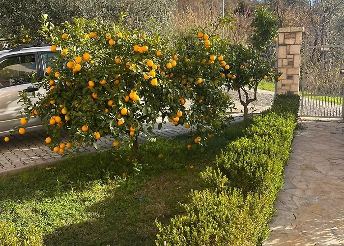 Aparthotel Dei Limoni