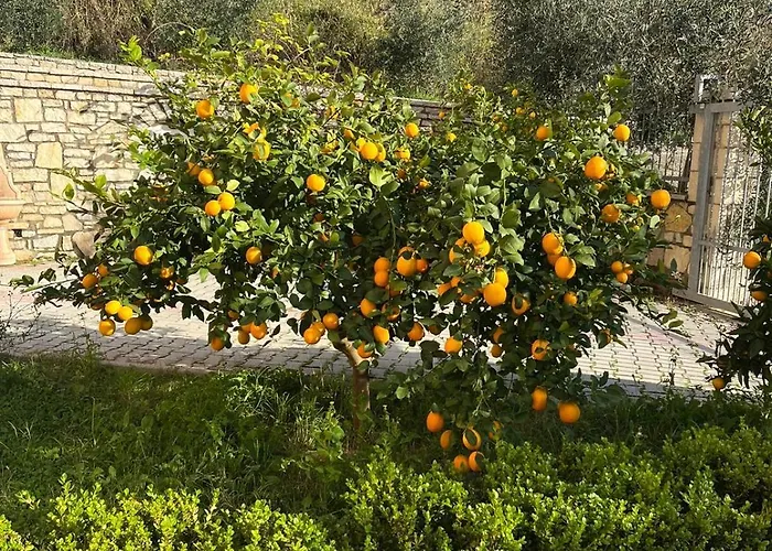 Dei Limoni *